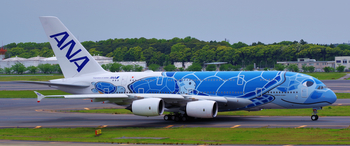 ANA_A380-800_381A_0020.jpg