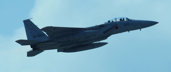 JASDF_F-15DJ_82-8093_0001.jpg